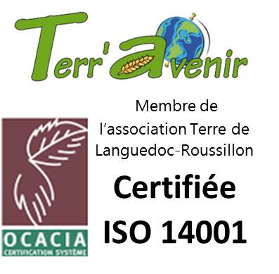 Iso 14001